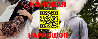 СК Новозыбков