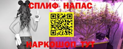 СК Новозыбков