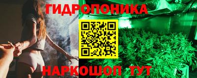 СК Новозыбков