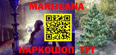 СК Новозыбков