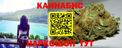 СК Новозыбков