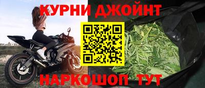 СК Новозыбков