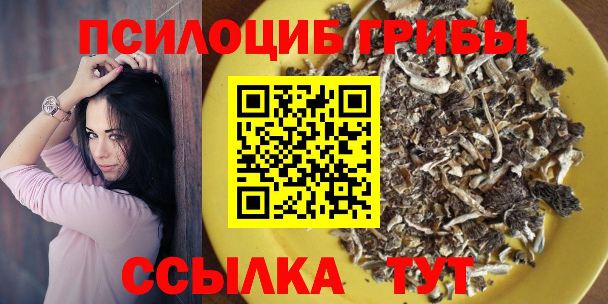 Галлюциногенные грибы ЛСД  Вход с VPN  Псилоцибиновые грибы Psilocybe  Ржев 